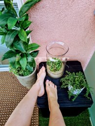 Feet modelka